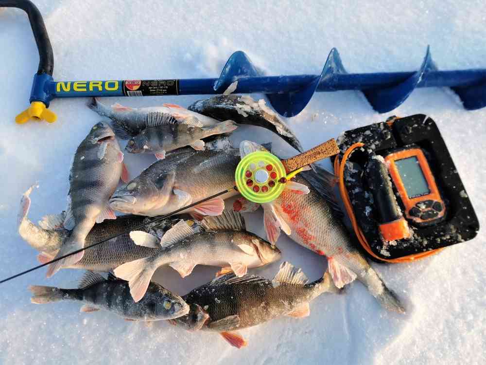 Эхолот для рыбалки зимний