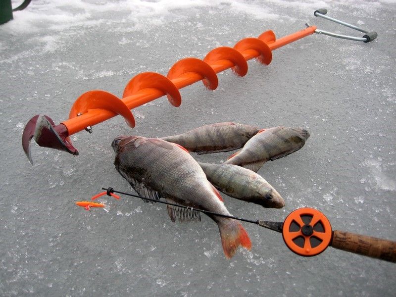 Выбор ледобура для зимней рыбалки