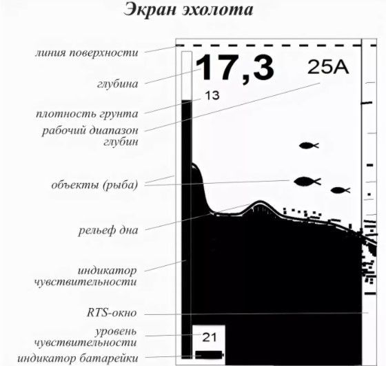 Эхолот для рыбалки отображение дна на экране